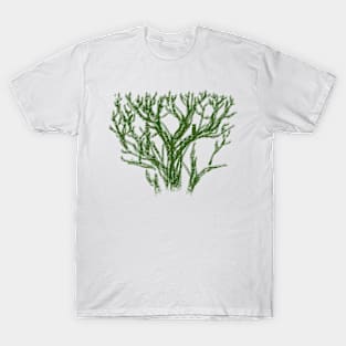 Tree With Hidden Night Owl T-Shirt